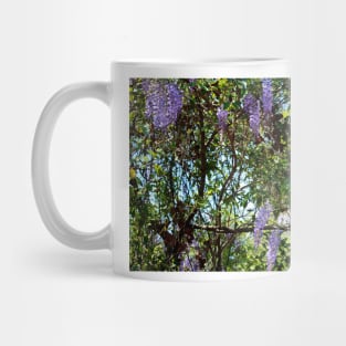 Sunlight On Wisteria Mug